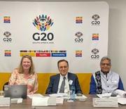 G20-panel-pic-300x259.jpg